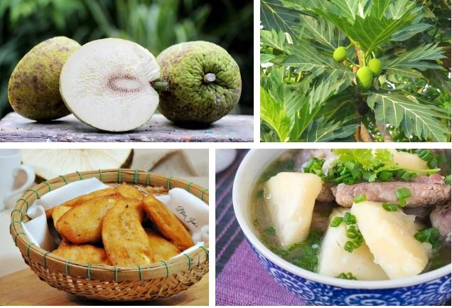 Chàng trai khoe mít được mùa, quả mọc tận ngọn nhưng hóa ra là cú lừa-2