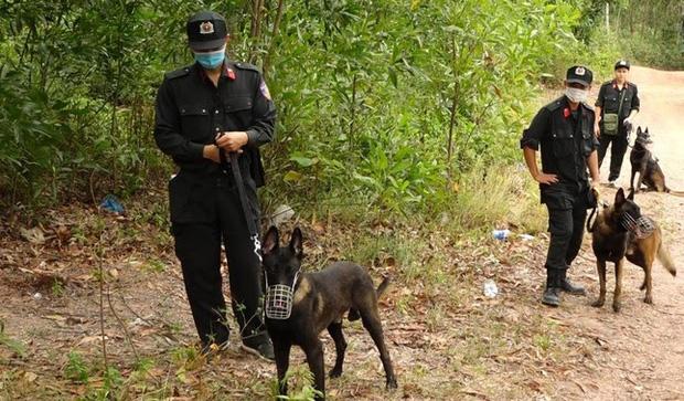 Huy động hơn 300 cảnh sát truy tìm nghi can sát hại mẹ vợ ở Quảng Bình-1