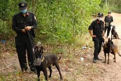 Huy động hơn 300 cảnh sát truy tìm nghi can sát hại mẹ vợ ở Quảng Bình