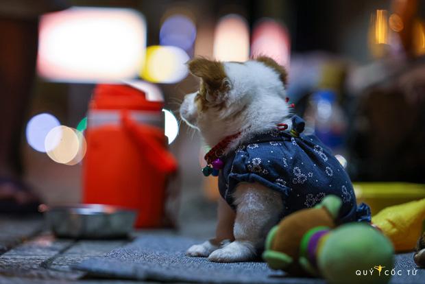 Chùm ảnh cảm xúc nhất lúc này: Thương lắm người vô gia cư ở Sài Gòn-9