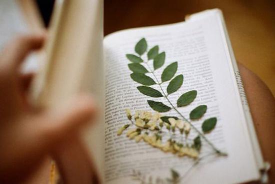 Tử vi 12 cung hoàng đạo thứ Bảy ngày 10/7/2021: Xử Nữ ổn định