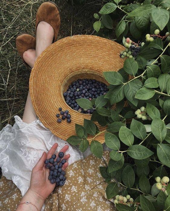 Tử vi 12 cung hoàng đạo Chủ nhật ngày 11/7/2021: Ma Kết sẵn sàng trò chuyện-2