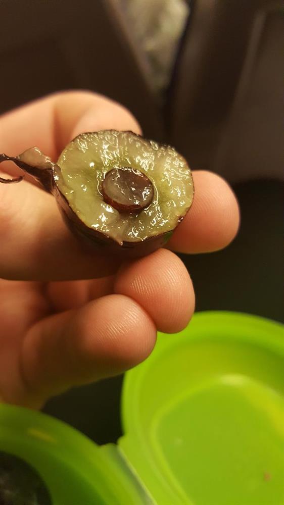 Còn gì vui hơn khi chỉ định ăn một, ông trời lại cứ bắt ta được hai-10