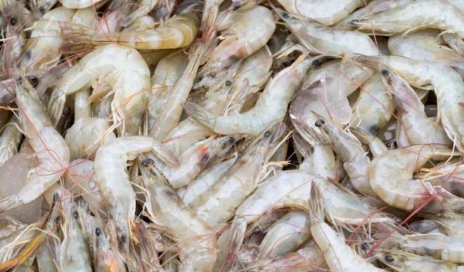 Làm theo các bước giúp tôm đông lạnh hấp mềm, tươi như đồ sống-4