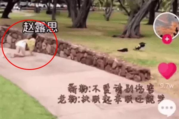 Nghi vấn Triệu Lộ Tư ngã dập mặt vì mải... bắt chim-1