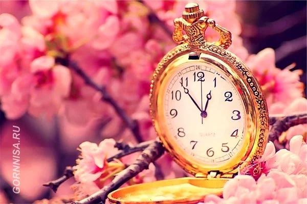 Chọn 1 biểu tượng, bạn sẽ biết điều mình muốn làm mà không thể làm-3