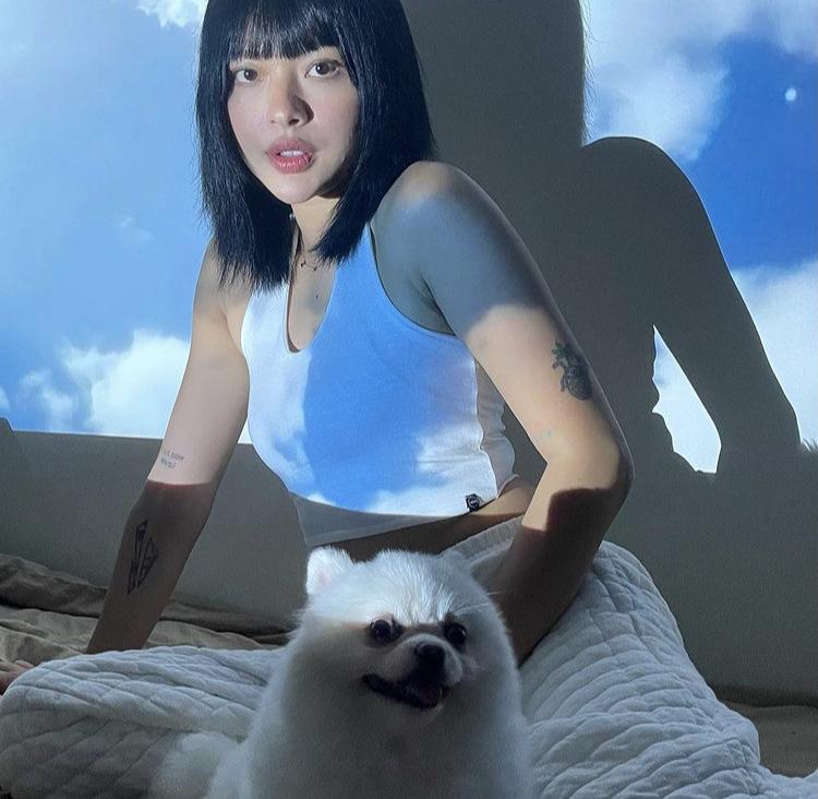 Sao Việt ở nhà dát hàng hiệu xịn sò pose hình cùng cún cưng-8