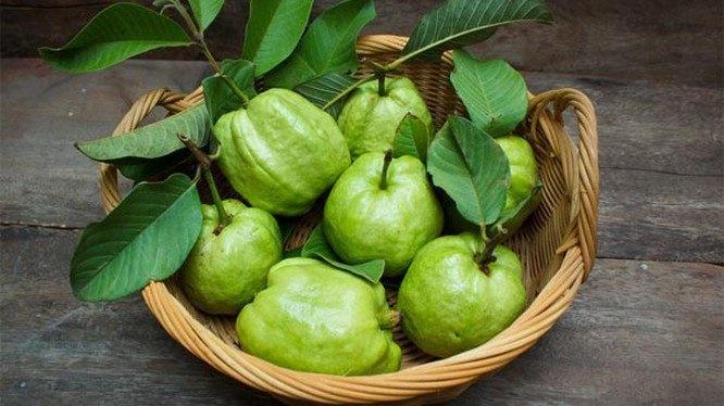 Ổi ngon lại rẻ nhưng những người này đừng ăn kẻo rước họa không kịp!-1