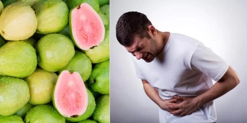 Ổi ngon lại rẻ nhưng những người này đừng ăn kẻo rước họa không kịp!-3