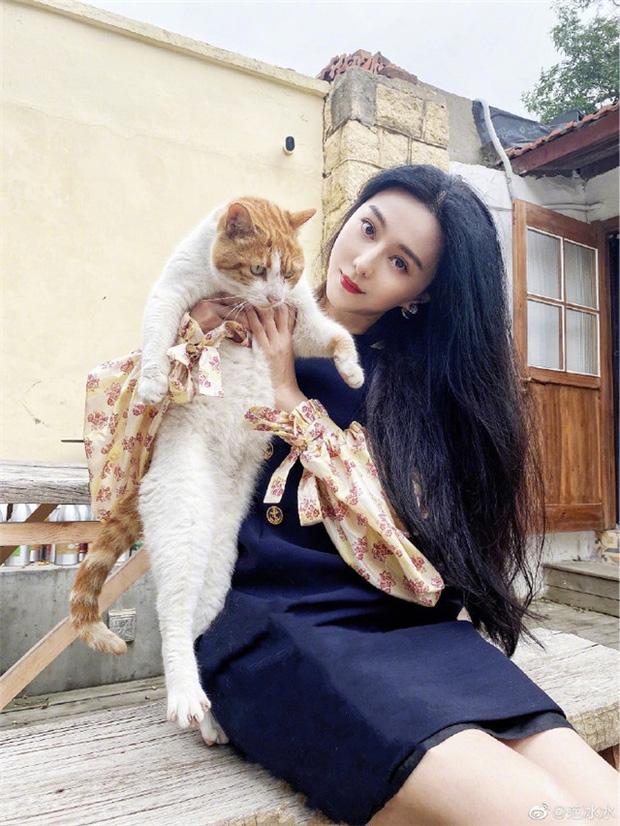 Nhan sắc và thần thái Phạm Băng Băng sau scandal phá thai-5