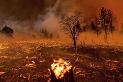 'Chảo lửa' thiêu cháy rừng ở Mỹ, nước từ máy bay chưa tiếp đất đã bốc hơi