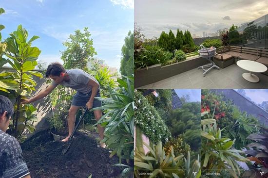 Đã mắt ngắm khu vườn sân thượng của Cường Đô La