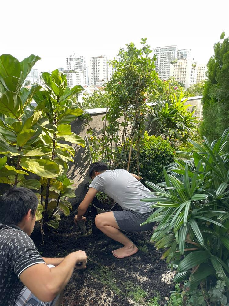 Đã mắt ngắm khu vườn sân thượng của Cường Đô La-3