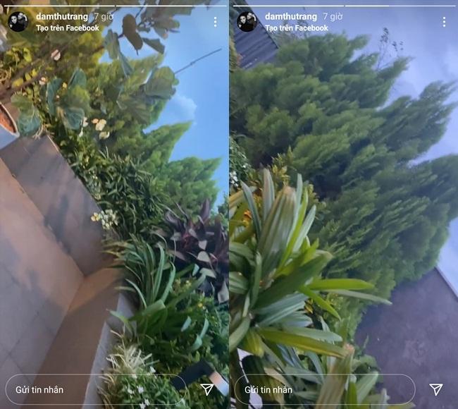 Đã mắt ngắm khu vườn sân thượng của Cường Đô La-7