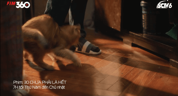 Chuyện mẹ vợ con rể trong 30 chưa phải là hết đầy drama-4