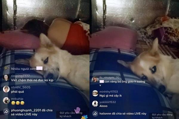 Chú chó mừng rỡ khi chủ về nhà sau 35 ngày cách ly-2