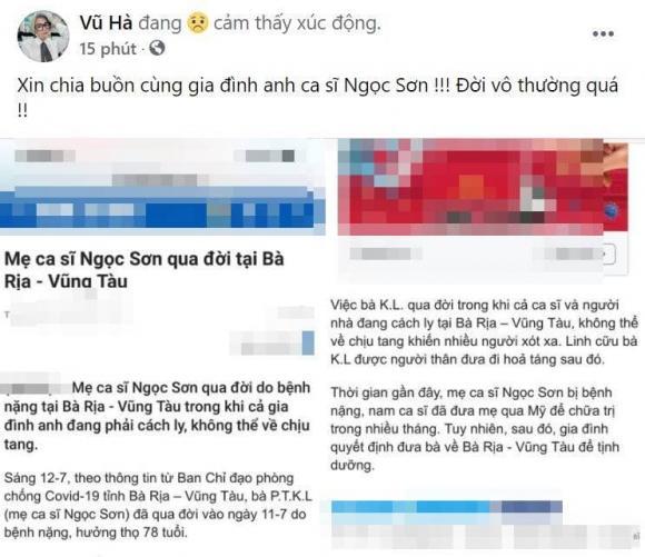 Sao Việt gửi lời chia buồn đến Ngọc Sơn khi mẹ ruột qua đời-2