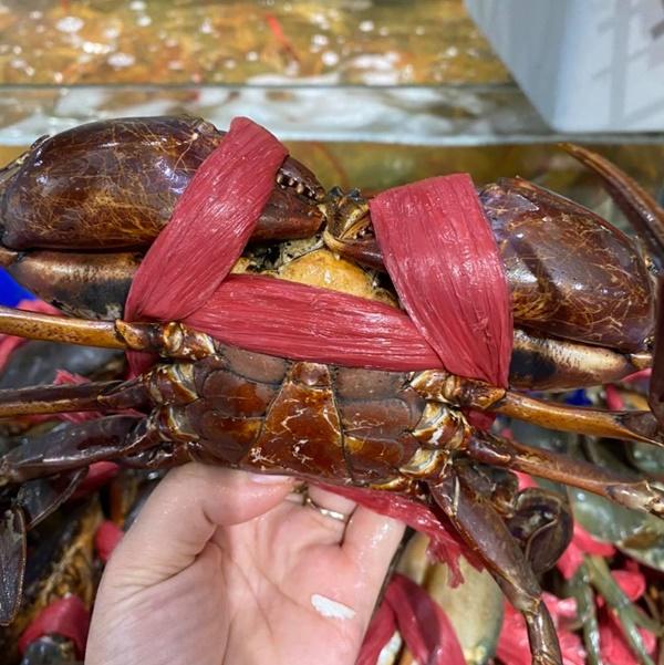 Nhà hàng buffet ở Hà Nội livestream, xả hải sản sập sàn trước 0h-1