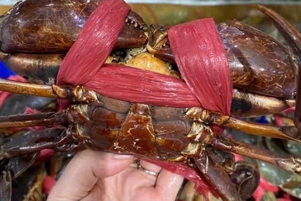 Chiến thần Hà Linh livestream phá giá dầu gội 11.000 đồng, triệu người lo sợ?-3