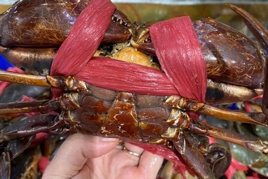 Nhà hàng buffet ở Hà Nội livestream, 'xả' hải sản sập sàn trước 0h