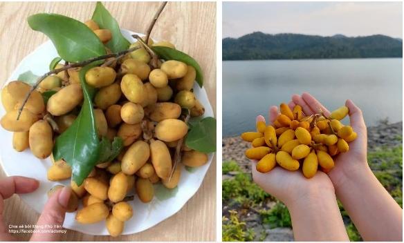 Thanh niên khoe chùm quả tua tủa như đột biến, nhìn mãi không đoán nổi tên-2