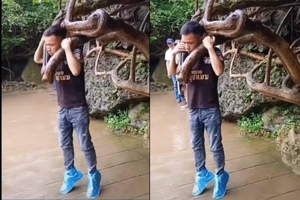 Clip: Thanh niên tạo dáng độc với cây, chỉ 1 giây sau nụ cười tắt ngấm-2