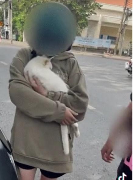 Clip xôn xao: Đưa mèo nguy kịch đi khám, nữ sinh bị chặn và xử phạt-1