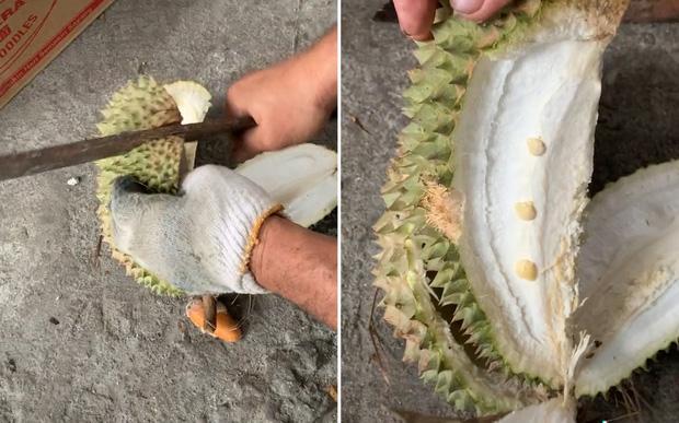 Bổ quả sầu riêng, 1 khe tận 3 múi nhưng thanh niên vẫn chết lặng căm hờn-1