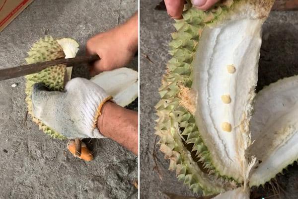 Thêm anh bán trái cây có nỗi buồn giống chị Phượng Chanel: Sầu riêng rụng làm kính xe ô tô vỡ nát-4