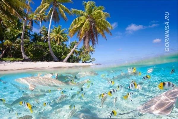 Phong cảnh yêu thích tiết lộ bạn muốn kết bạn với kiểu người nào?-6