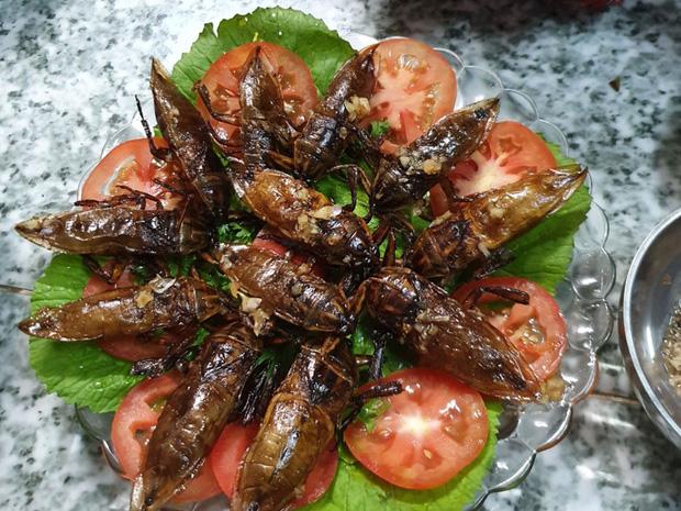 Cô gái bắt được con vật nhìn như gián, ngờ đâu lại là đặc sản lắm người ghiền-1