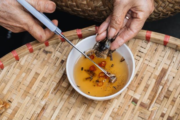 Cô gái bắt được con vật nhìn như gián, ngờ đâu lại là đặc sản lắm người ghiền-2