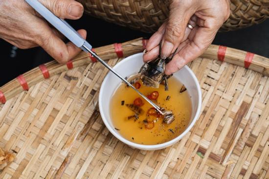 Cô gái bắt được con vật nhìn như gián, ngờ đâu lại là đặc sản lắm người ghiền