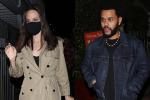 Angelina Jolie đang hẹn hò The Weeknd?