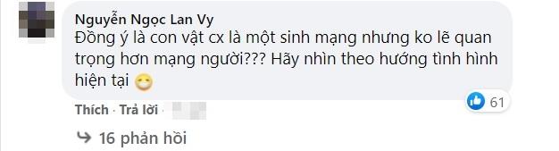 Hari Won viết tút thương con mèo liền bị hỏi: Người dân là con gì?-4