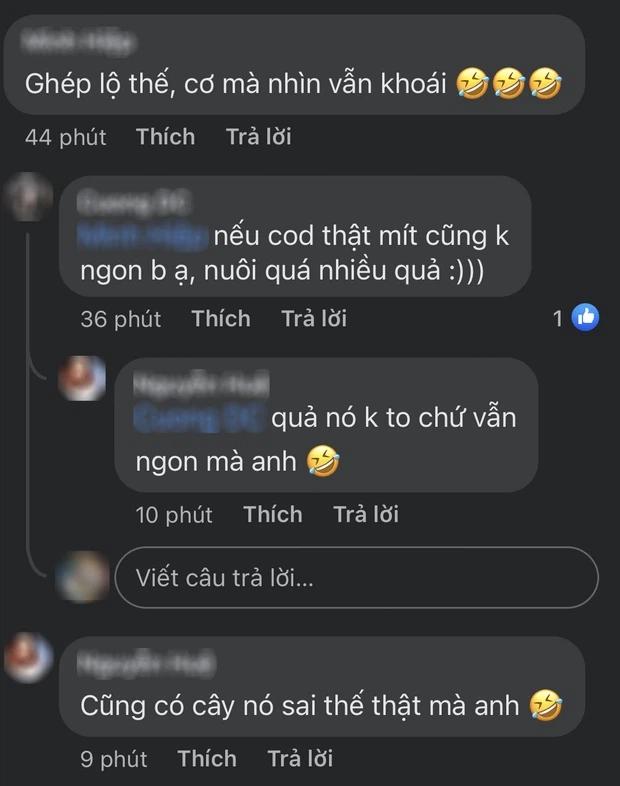 Sửng sốt cây mít cổ thụ cho nhiều quả bậc nhất Việt Nam-3