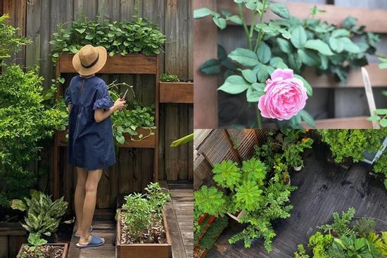 Đã mắt khu vườn nhỏ nhưng xinh của Tăng Thanh Hà