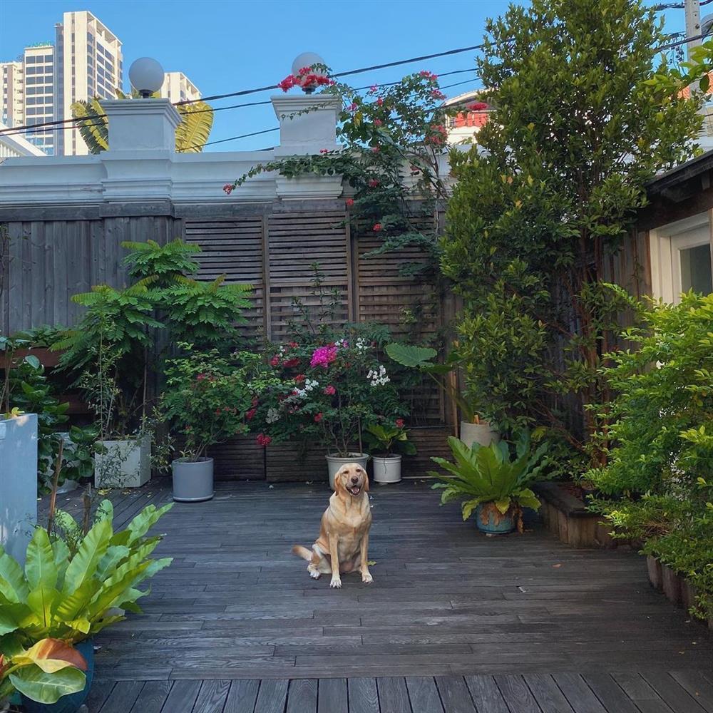 Đã mắt khu vườn nhỏ nhưng xinh của Tăng Thanh Hà-17