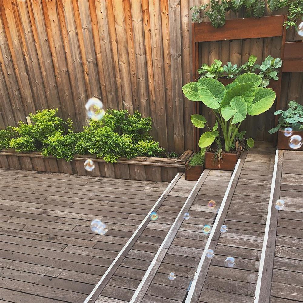 Đã mắt khu vườn nhỏ nhưng xinh của Tăng Thanh Hà-16