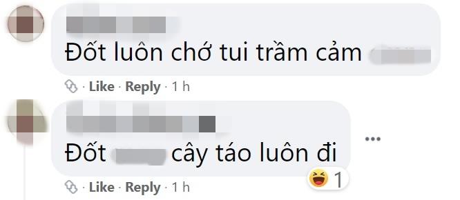 Khán giả đòi đốt rễ, chặt cành không xem Cây Táo Nở Hoa vì rối rắm-14