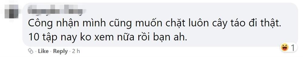 Khán giả đòi đốt rễ, chặt cành không xem Cây Táo Nở Hoa vì rối rắm-10