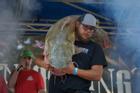 Cuộc thi tay không bắt cá trê khổng lồ ở Mỹ