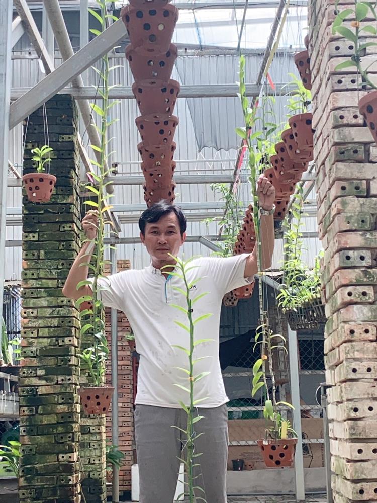 Bí quyết chăm lan của ông chủ vườn hoa hàng nghìn mét vuông-1