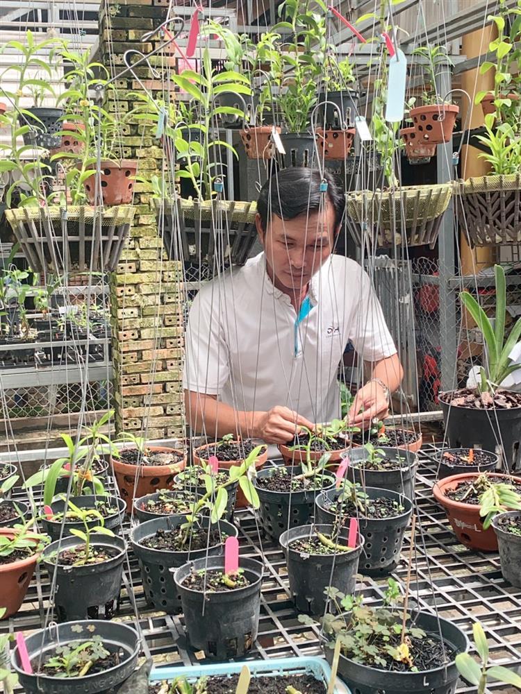 Bí quyết chăm lan của ông chủ vườn hoa hàng nghìn mét vuông-3