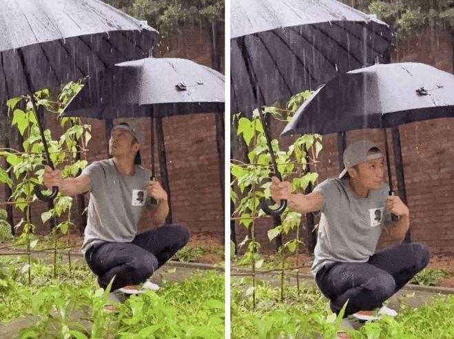 Tạ Đình Phong bị chỉ trích vì lấy ô che mưa cho rau-1