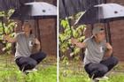 Tạ Đình Phong bị chỉ trích vì lấy ô che mưa cho rau