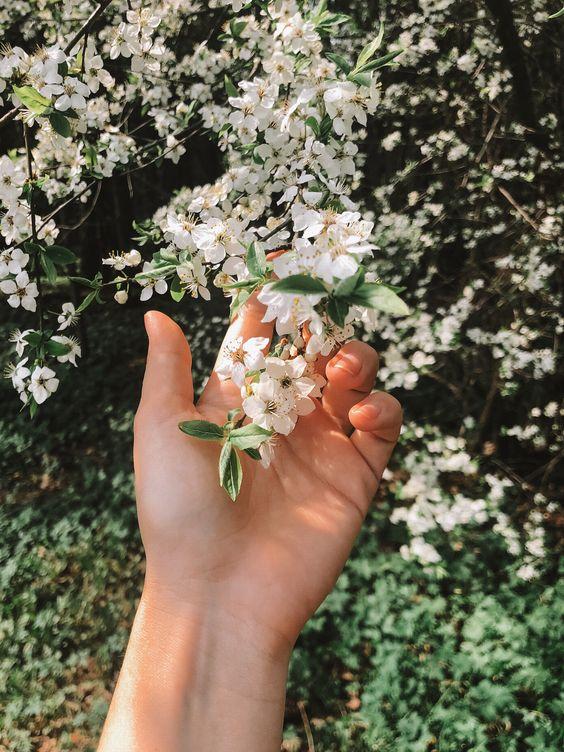 Tử vi 12 cung hoàng đạo thứ Bảy ngày 17/7/2021: Song Tử gặp rắc rối lớn-1