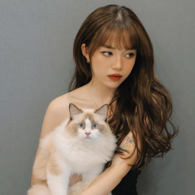 Linh Ngọc Đàm hé lộ lý do giàu có nhưng chưa mua ô tô-1