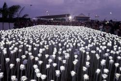Tiệm cà phê hơn 10.000 bông hồng phát sáng ở Philippines