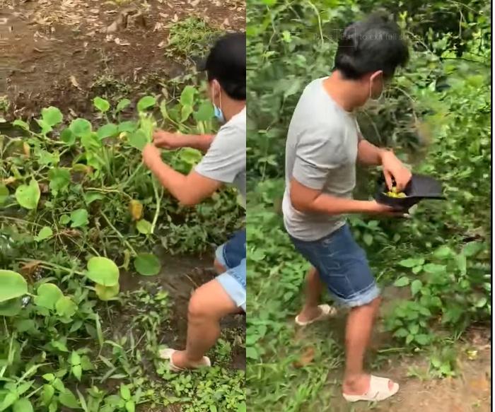 Hình ảnh làm đầu bếp điêu luyện hiếm thấy của Trường Giang-2